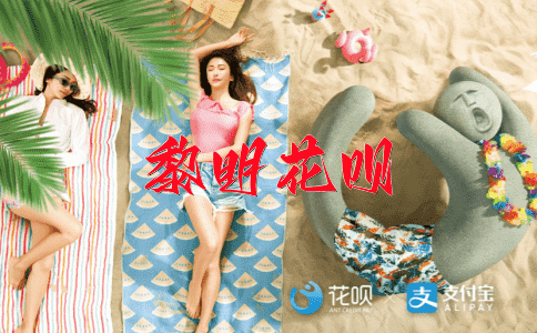 合纵连横花呗